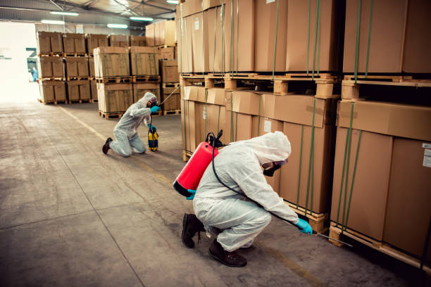 Best Pest Inspection Near Me  in Maltby, WA