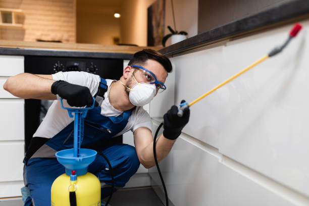Flea Control Services in Maltby, WA