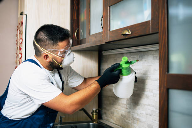 Best Commercial Pest Control Services  in Maltby, WA