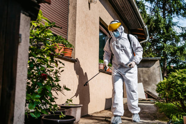 Best Best Pest Control Companies  in Maltby, WA