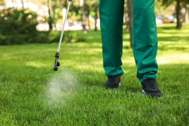 Best Pest Removal Services  in Maltby, WA