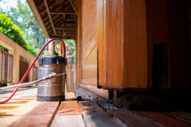 Best Ant Control Services  in Maltby, WA