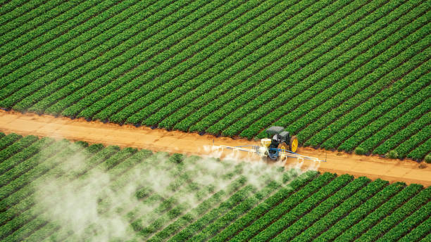 Pest Control Cost in Maltby, WA